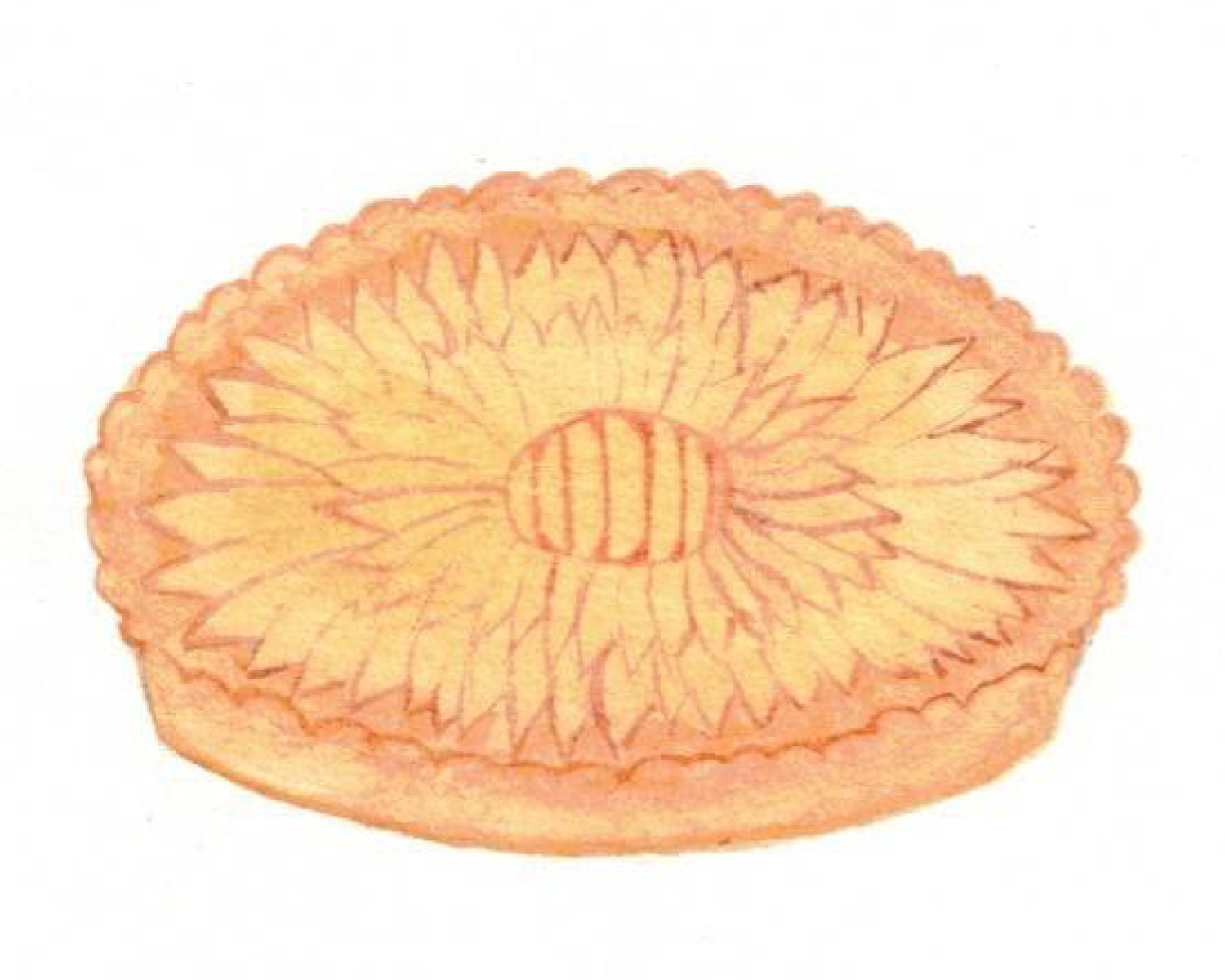 Illustration d'une tarte au pomme pour un aperçu de la recette du même nom.