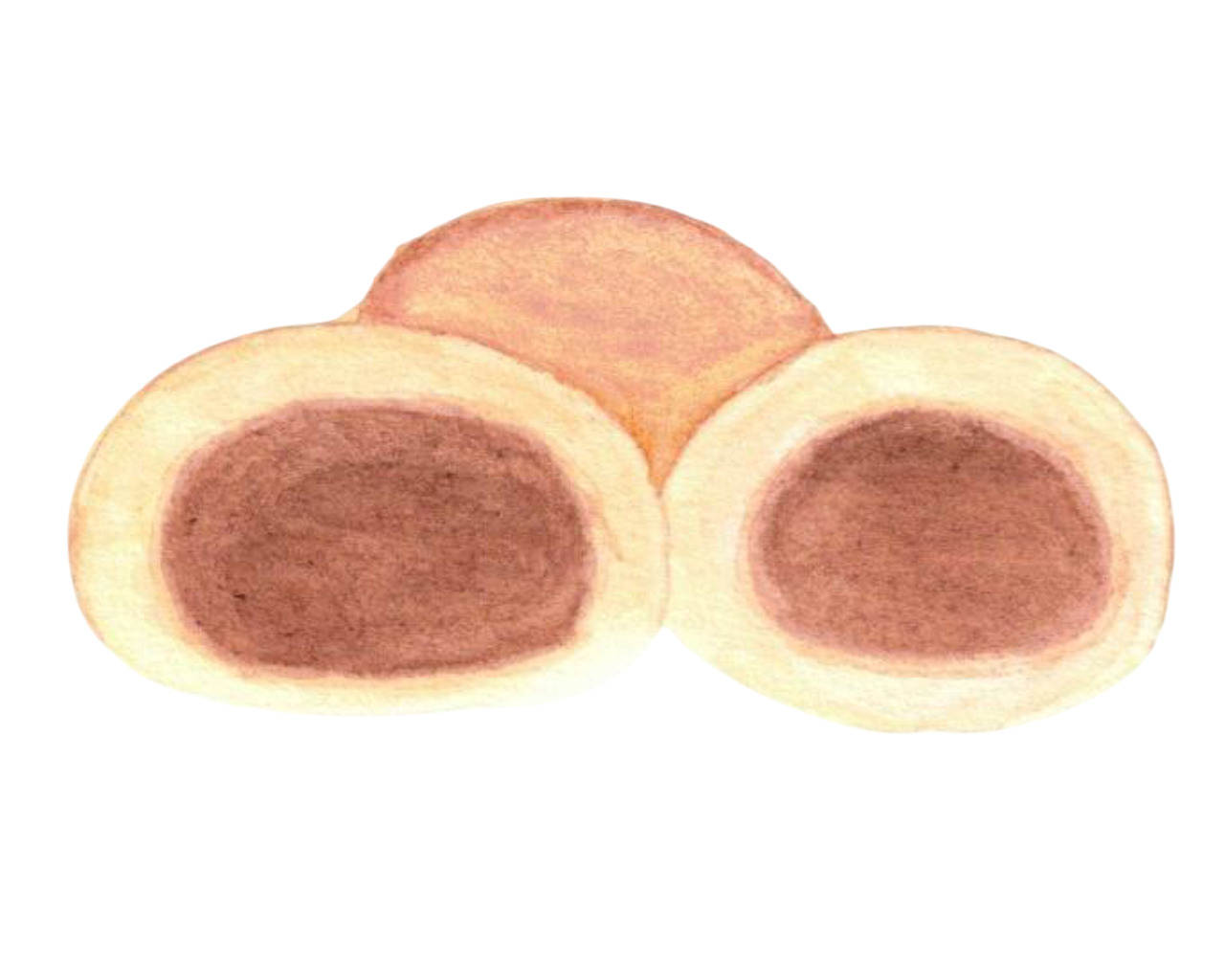 Illustration faite à l'aquarelle de biscuits fourrés à la crème de marron dont un est coupé en deux 